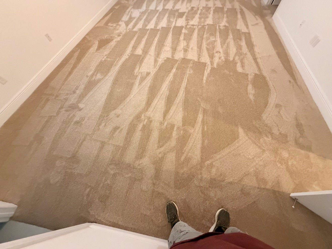 Fresh carpet installation